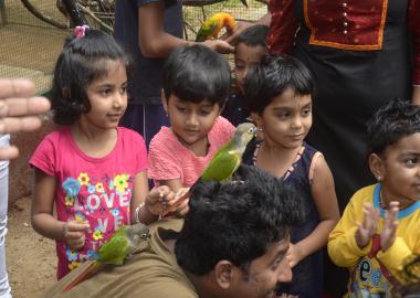 The Sparrows,The sparrows in bangalore,best preschool in hanumantha nagar,best playgroup in hanumantha nagar,best daycare in hanumantha nagar,best nursery in hanumantha nagar,best activity center in hanumantha nagar,best after school care in hanumantha nagar,best playschool in hanumantha nagar,best preschool in Varsharuthu road,best preschool in Kempegowda nagar, best preschool in gavipuram,top 10 preschool in hanumantha nagar,top 10 preschool in bangalore,thesparrows,sowing seeds,the sparrows preschool.