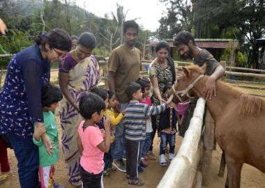 The Sparrows,The sparrows in bangalore,best preschool in hanumantha nagar,best playgroup in hanumantha nagar,best daycare in hanumantha nagar,best nursery in hanumantha nagar,best activity center in hanumantha nagar,best after school care in hanumantha nagar,best playschool in hanumantha nagar,best preschool in Varsharuthu road,best preschool in Kempegowda nagar, best preschool in gavipuram,top 10 preschool in hanumantha nagar,top 10 preschool in bangalore,thesparrows,sowing seeds,the sparrows preschool.