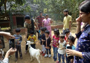 The Sparrows,The sparrows in bangalore,best preschool in hanumantha nagar,best playgroup in hanumantha nagar,best daycare in hanumantha nagar,best nursery in hanumantha nagar,best activity center in hanumantha nagar,best after school care in hanumantha nagar,best playschool in hanumantha nagar,best preschool in Varsharuthu road,best preschool in Kempegowda nagar, best preschool in gavipuram,top 10 preschool in hanumantha nagar,top 10 preschool in bangalore,thesparrows,sowing seeds,the sparrows preschool.