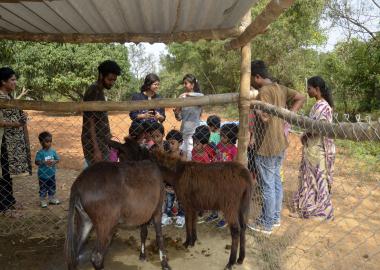 The Sparrows,The sparrows in bangalore,best preschool in hanumantha nagar,best playgroup in hanumantha nagar,best daycare in hanumantha nagar,best nursery in hanumantha nagar,best activity center in hanumantha nagar,best after school care in hanumantha nagar,best playschool in hanumantha nagar,best preschool in Varsharuthu road,best preschool in Kempegowda nagar, best preschool in gavipuram,top 10 preschool in hanumantha nagar,top 10 preschool in bangalore,thesparrows,sowing seeds,the sparrows preschool.