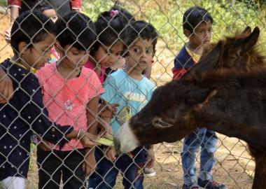 The Sparrows,The sparrows in bangalore,best preschool in hanumantha nagar,best playgroup in hanumantha nagar,best daycare in hanumantha nagar,best nursery in hanumantha nagar,best activity center in hanumantha nagar,best after school care in hanumantha nagar,best playschool in hanumantha nagar,best preschool in Varsharuthu road,best preschool in Kempegowda nagar, best preschool in gavipuram,top 10 preschool in hanumantha nagar,top 10 preschool in bangalore,thesparrows,sowing seeds,the sparrows preschool.