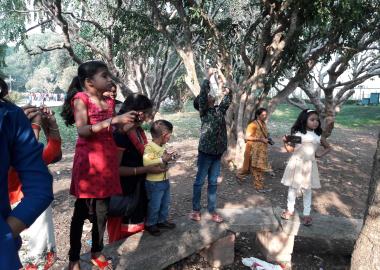 The Sparrows,The sparrows in bangalore,best preschool in hanumantha nagar,best playgroup in hanumantha nagar,best daycare in hanumantha nagar,best nursery in hanumantha nagar,best activity center in hanumantha nagar,best after school care in hanumantha nagar,best playschool in hanumantha nagar,best preschool in Varsharuthu road,best preschool in Kempegowda nagar, best preschool in gavipuram,top 10 preschool in hanumantha nagar,top 10 preschool in bangalore,thesparrows,sowing seeds,the sparrows preschool.